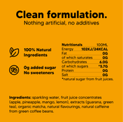 Pineapple Mango Nootropic Drink